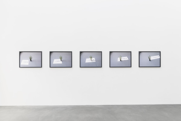 Heimspiel 2018 ausstellungsansichten kunstmuseum appenzell web 27