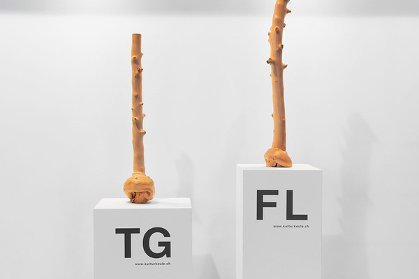 Heimspiel 2018 ausstellungsansichten kunst halle sankt gallen 2