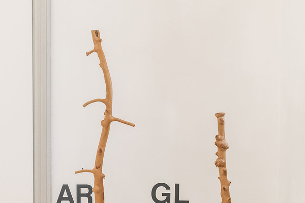 Heimspiel 2018 ausstellungsansichten kunstmuseum st gallen web 19